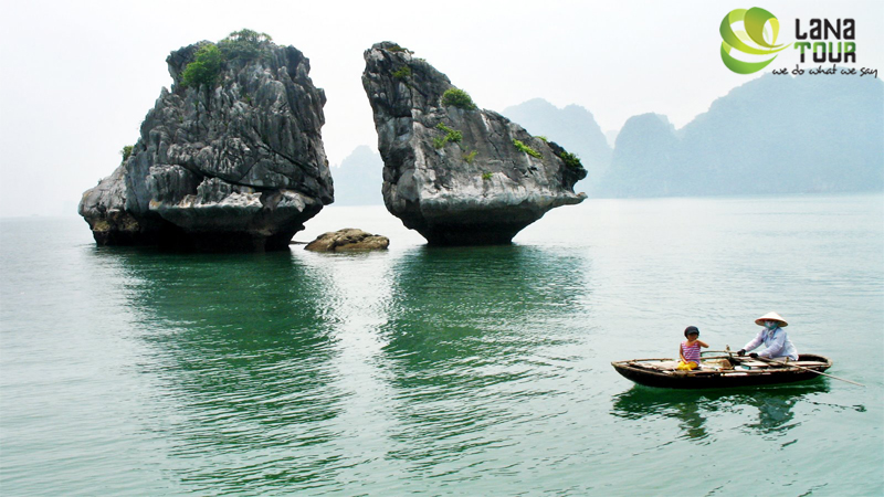 Flavors of Viet Nam